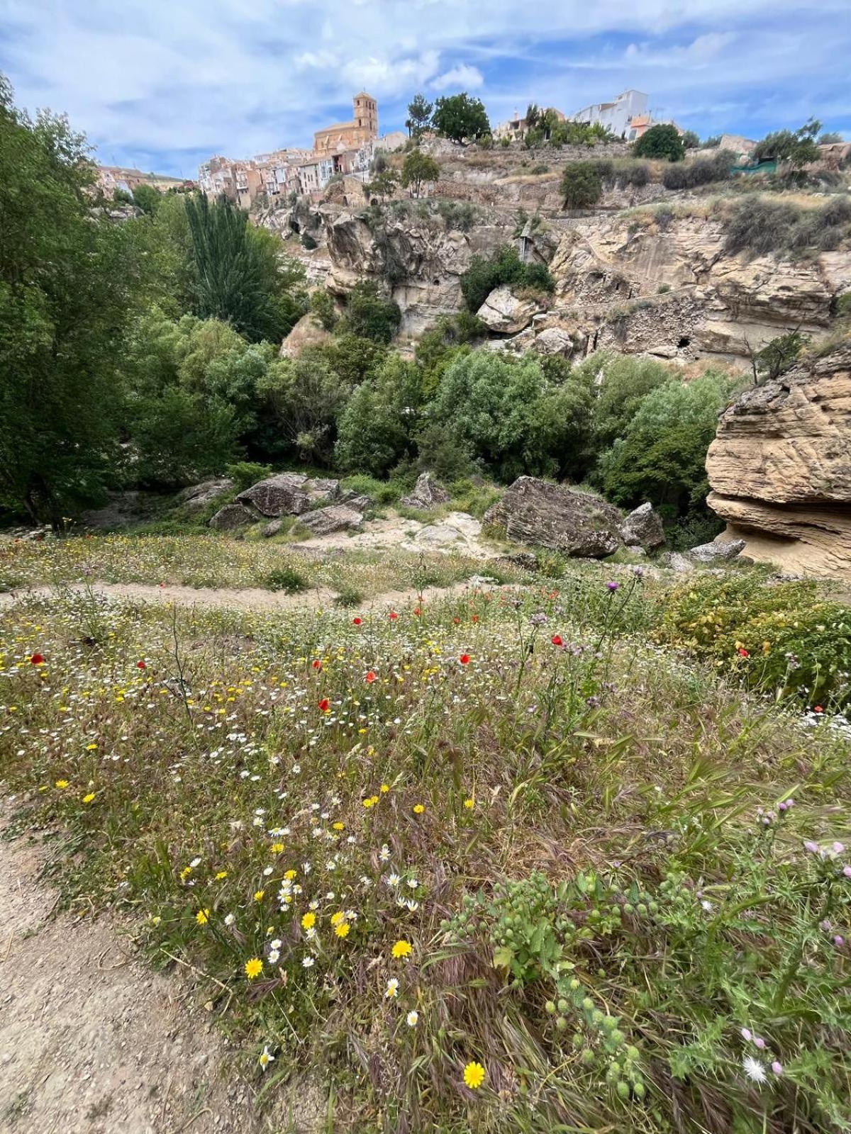Alojamiento La Escalera Alhama de Granada Esterno foto