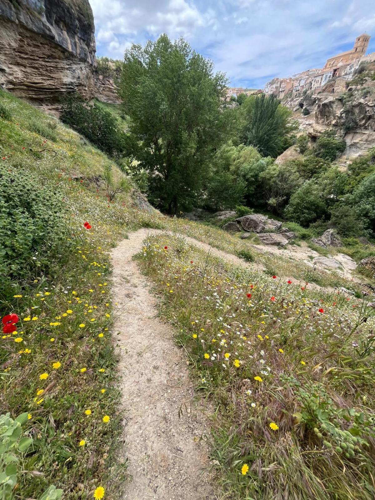 Alojamiento La Escalera Alhama de Granada Esterno foto